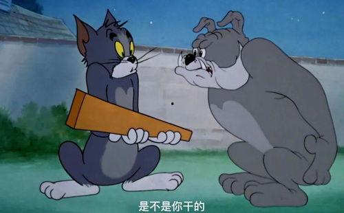 娱乐吃瓜酱杰瑞